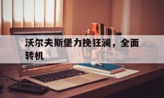 爱游戏电竞-沃尔夫斯堡力挽狂澜，全面转机的简单介绍