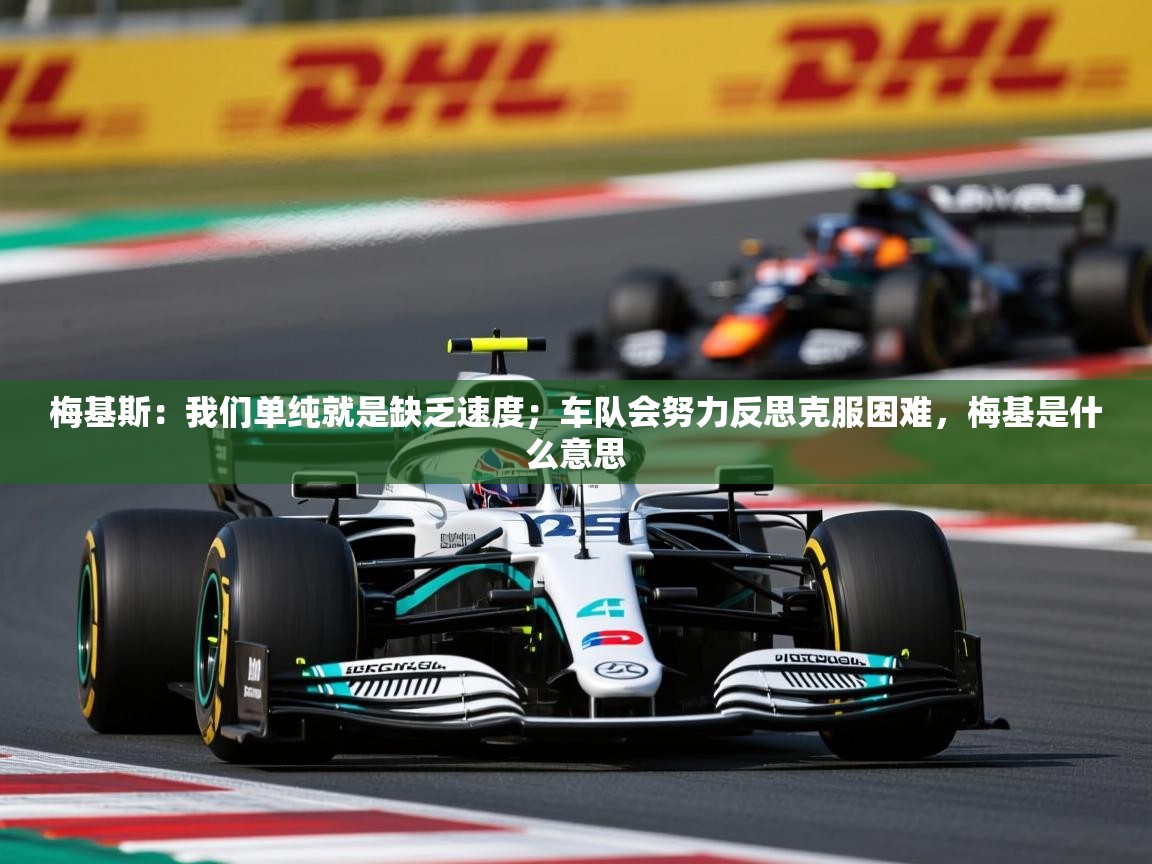 2025爱游戏官方网站入口登录梅基斯:我们单纯就是缺乏速度;车队会努力反思克服困难,梅基是什么意思 第1张