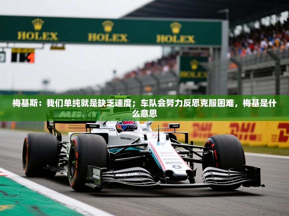 2025爱游戏官方网站入口登录梅基斯:我们单纯就是缺乏速度;车队会努力反思克服困难,梅基是什么意思 第2张