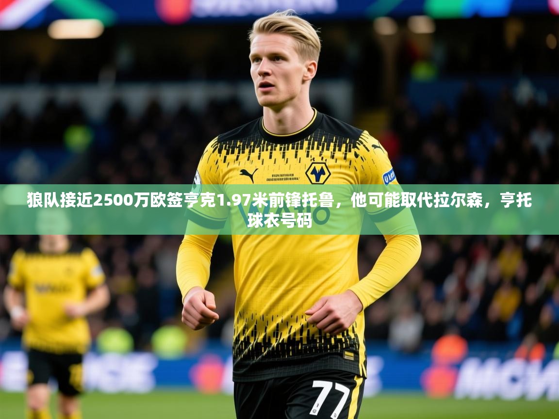 2025爱游戏app狼队接近2500万欧签亨克1.97米前锋托鲁，他可能取代拉尔森，亨托球衣号码  第1张