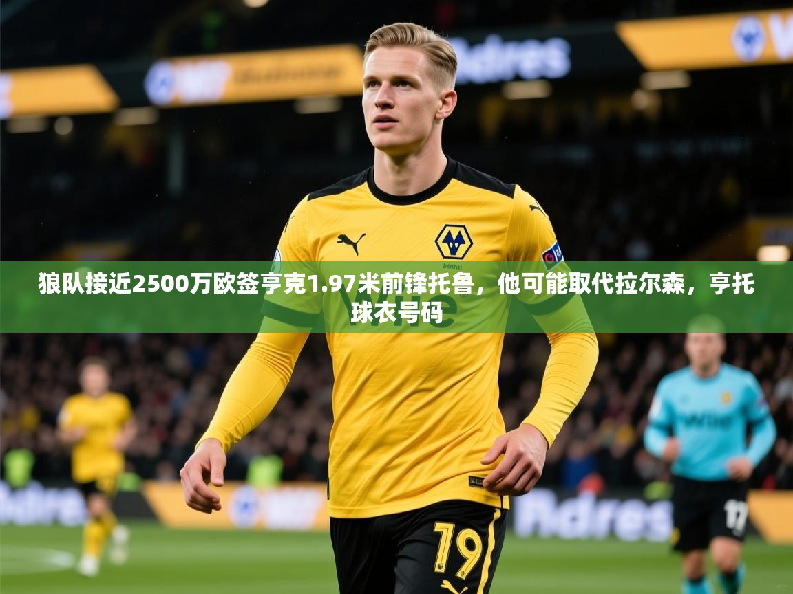 2025爱游戏app狼队接近2500万欧签亨克1.97米前锋托鲁，他可能取代拉尔森，亨托球衣号码  第2张