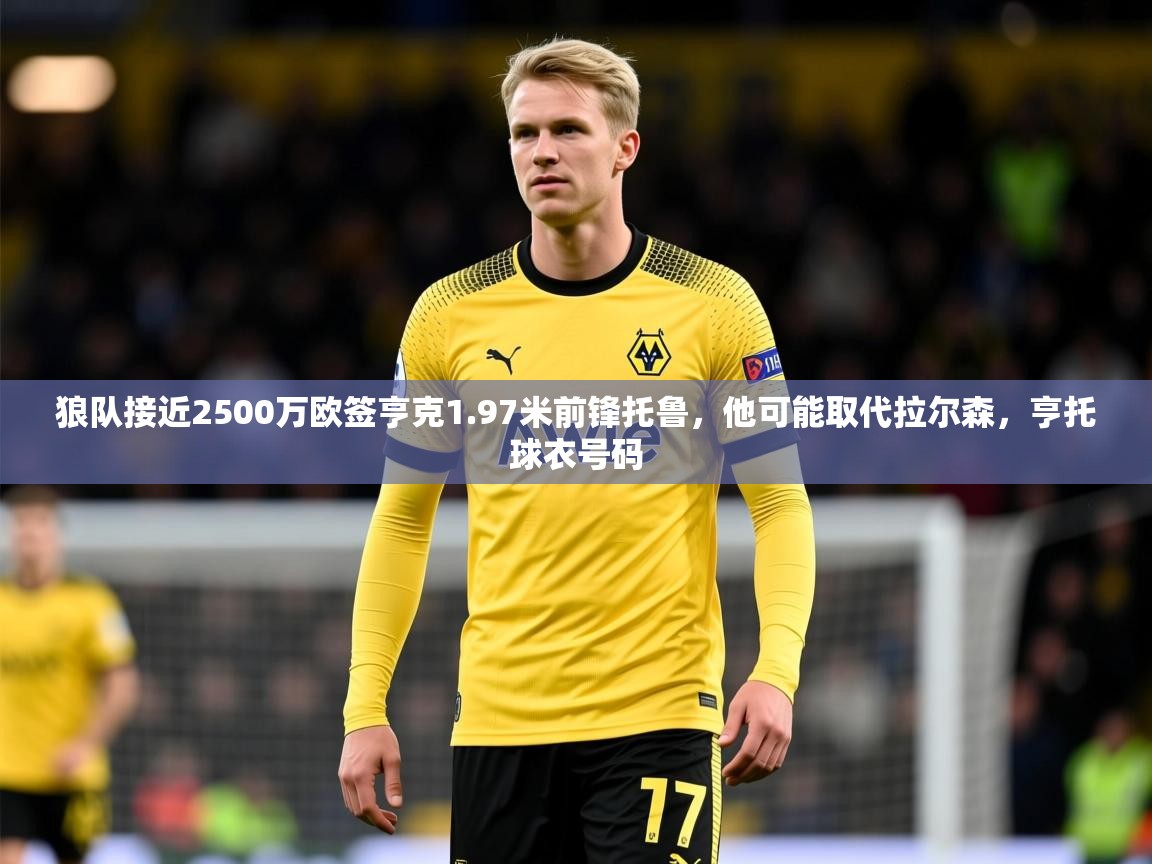 2025爱游戏app狼队接近2500万欧签亨克1.97米前锋托鲁，他可能取代拉尔森，亨托球衣号码  第3张