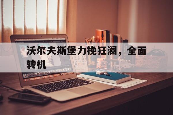 沃尔夫斯堡力挽狂澜，全面转机的简单介绍